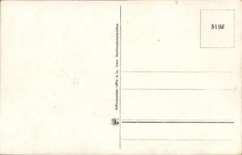 Ak Schöneck Vogtland, Partie an den Streugrünwiesen