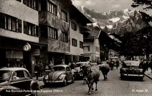Ak Garmisch Partenkirchen in Oberbayern, Zugspitze, Straßenszene, Kühe, Viehtrieb