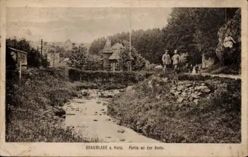 Ak Braunlage im Oberharz, Bachlandschaft, Wanderer, Häuser, Bäume