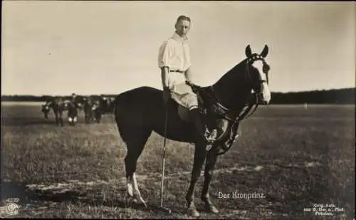 Ak Kronprinz Wilhelm von Preußen, Pferd, Polo, NPG 4239