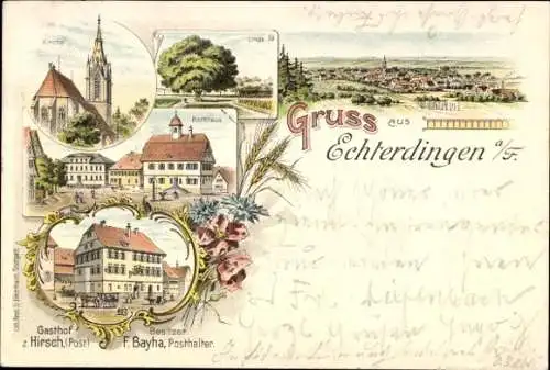 Litho Echterdingen Fllder b. Stuttgart, Gasthof zum Hirsch, Linde, Kirche
