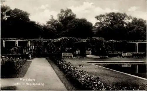 Ak Magdeburg an der Elbe, Im Vogelgesang, Blumenbeete