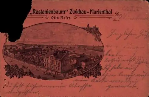 Passepartout Ak Marienthal Zwickau in Sachsen, Kastanienbaum