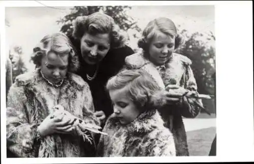 Ak Königin Juliana der Niederlande, Prinzessinnen Beatrix, Irene, Margriet, Tauben, Nov. 1950