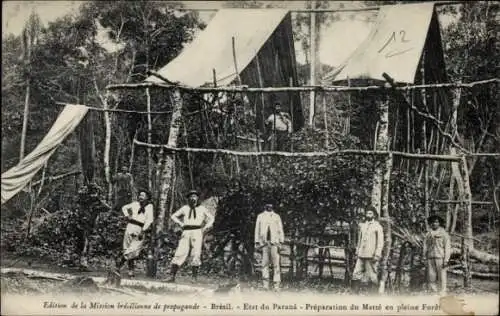 Ak Paraná Brasilien, Préparation du Matté en pleine Forêt