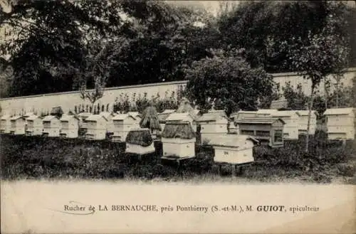 Ak Ponthierry Seine et Marne, , Bienenstockanlage, apikulteur M. Guiot, Gartenansicht
