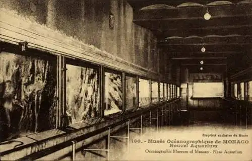 Ak Monaco, Museum, Aquarium,  Innenansicht,  