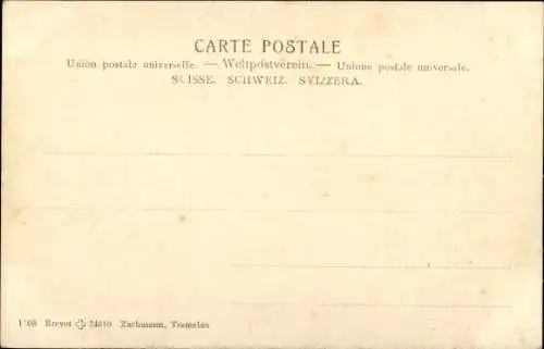 Passepartout Ak St Maurice Kanton Wallis Schweiz, Le Chateau