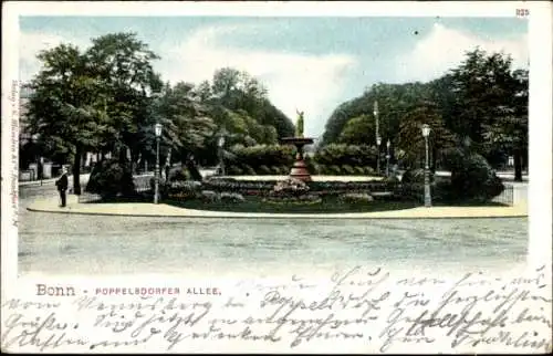 Ak Poppelsdorf Bonn am Rhein, Poppelsdorfer Allee, Brunnen, Bäume, Blumen, freundliche Atmosphäre