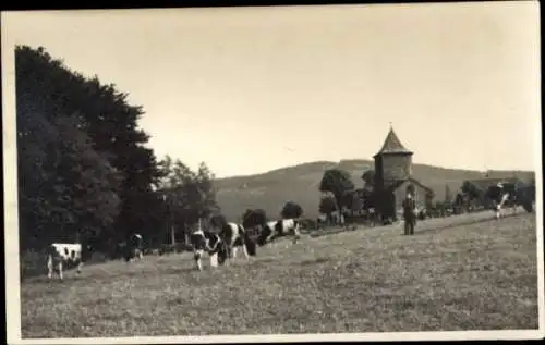 Ak Obergurig in der Lausitz, Landschaft mit Kühen, Kirche, Berglandschaft