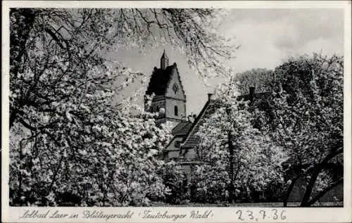 Ak Bad Laer am Teutoburger Wald, Lolbad Laer, Blütenpracht, Teutoburger Wald, 1936