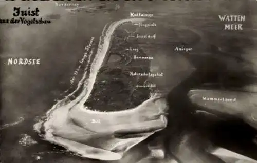 Ak Nordseebad Juist in Ostfriesland, Luftaufnahme von  Nordsee, Wattenmeer, Kalfamer, Inseldorf, 