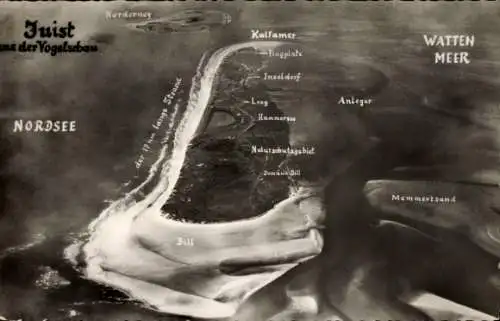Ak Nordseebad Juist in Ostfriesland, Luftaufnahme von  Nordsee, Kalfamer, Anleger, Naturschutzgeb