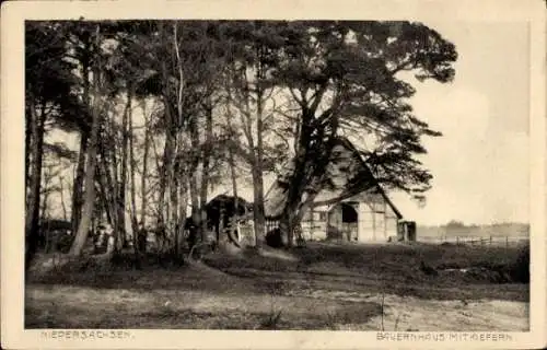 Ak Stade in Niedersachsen, Bauernhaus mit Kiefern, ländliche Szenerie, Bäume, Streuhaus