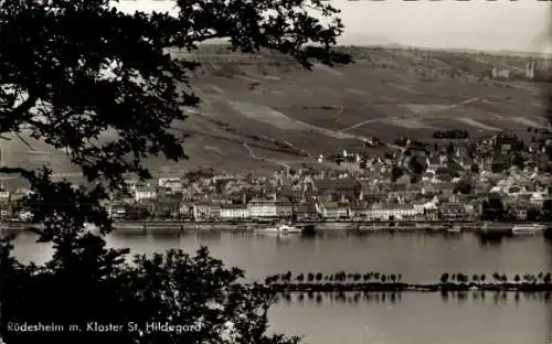 Ak Rüdesheim am Rhein, Schöne Landschaft, Weinberge, Stadtansicht, Rhein, Kloster St. Hildegard