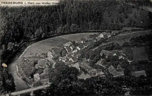 Ak Treseburg Thale im Harz, Landschaft von  Häuser, Wälder, Fluss, Vogelperspektive
