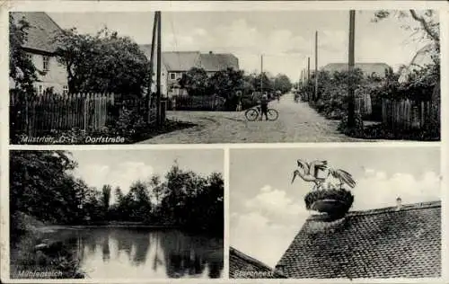 Ak Milstrich Oßling Ossling in der Oberlausitz, Dorfstraße, Mühlenteich, Storchnest