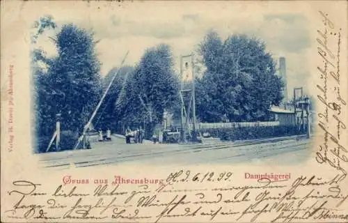 Ak Ahrensburg in Holstein, Dampfsägerei