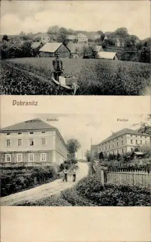 Ak Dobranitz Dobranecy Göda in der Oberlausitz, Fiedler, Ziescho, Ortsansicht