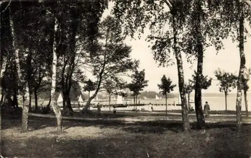 Ak Berlin Köpenick Friedrichshagen, Uferpartie mit Blick auf den Müggelsee, Segelboote