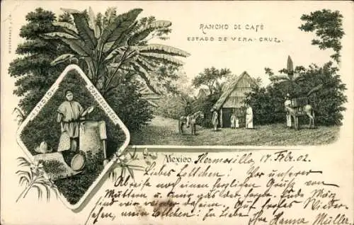 Litho Mexiko, Indio, Kaffeeplantage im Bundesstaat Vera-Cruz