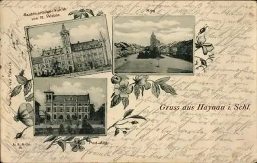 Ak Chojnów Haynau Schlesien, Raubthierfallen-Fabrik R. Weber, Ring, Postamt