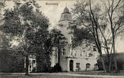 Ak Morzyca Blumberg Dolice Dölitz in Pommern, Gutshaus