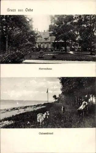 Ak Oehe Schleimünde Maasholm in Schleswig Holstein, Herrenhaus, Ostseestrand