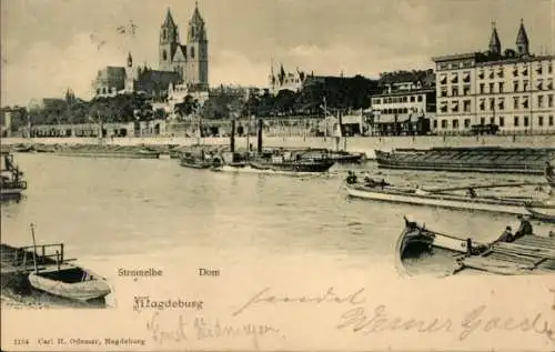 Ak Magdeburg an der Elbe, Elbe, Dom