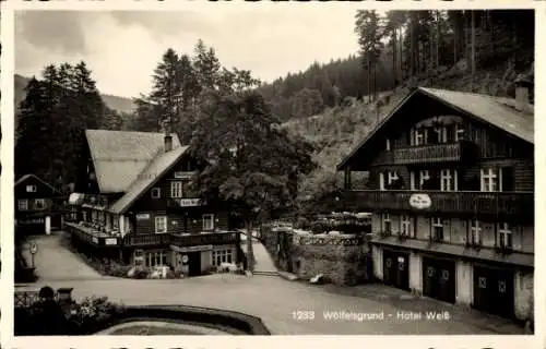 Ak Międzygórze Wölfelsgrund Schlesien, Hotel Weiß, Waldlandschaft, historische Postkarte