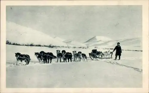 Ak Alaska USA, Wagons lits de l'Arctique, Hundeschlitten