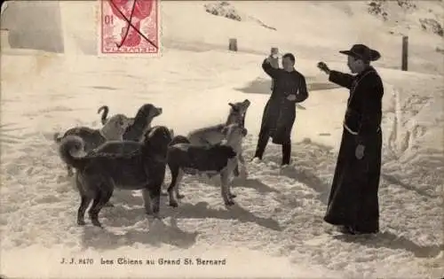 Ak Les Chiens au Grand St. Bernard, Mönche bei der Ausbildung der Hunde, Bernhardiner