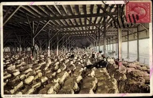 Ak USA, Cotton Awaiting Shipment