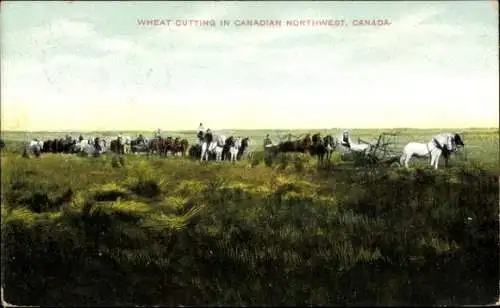 PC Canada, Wheat Cutting in Canadian Northwest