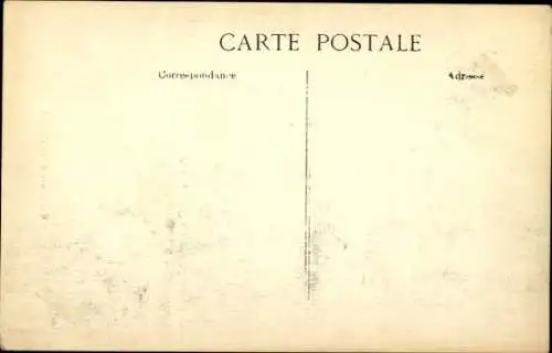 CPA Évolutions de Pegoud, Flugzeuge, Pilot