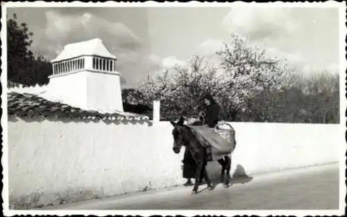 Foto Ak Reiterin auf Pferd auf der Straße, Montanheica-típico algacolo