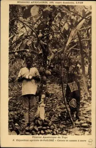 Ak Palimé Togo, Vicariat Apostolique, Exposition agricole, Cacaos et cannes à sucre, Kakaobohnen