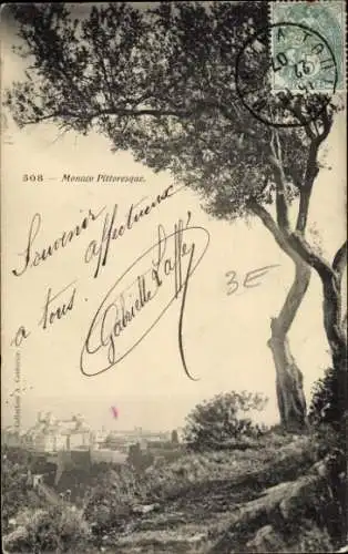 Ak Monaco, Ein Baum, Stadtansicht von  Schwarz-Weiß-Fotografie