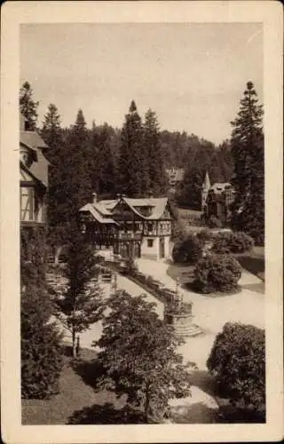 Ak Sinaia Rumänien, Castel Peleș