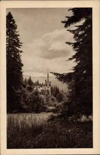 Ak Sinaia Rumänien, Fernblick zum Schloss, Castel Peles