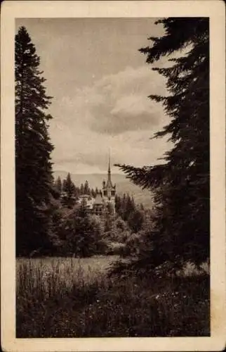 Ak Sinaia Rumänien, Fernblick zum Schloss, Castel Peles
