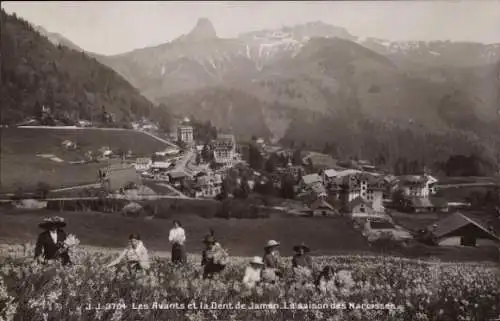 Ak Les Avants Montreux Kanton Waadt, Narzissensaison