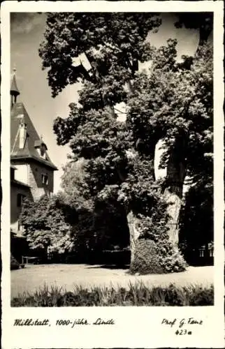 Ak Millstatt am See Kärnten, 1000-jährige Linde, Historisches Gebäude, Fotograf G. Fanz