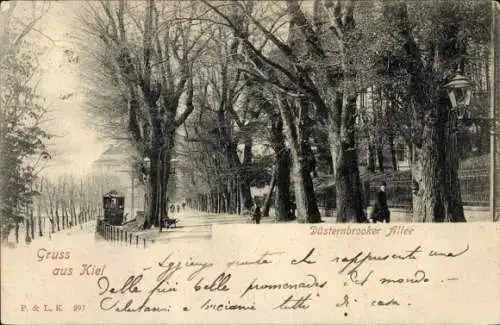 Ak Düsternbrook Kiel, Gruss aus  Düsternbrooker Allee, schöne Allee mit Bäumen, eine Promenade