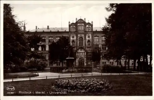 Ak Hansestadt Rostock, Universität  s Gebäude, Park, Blumenbeet