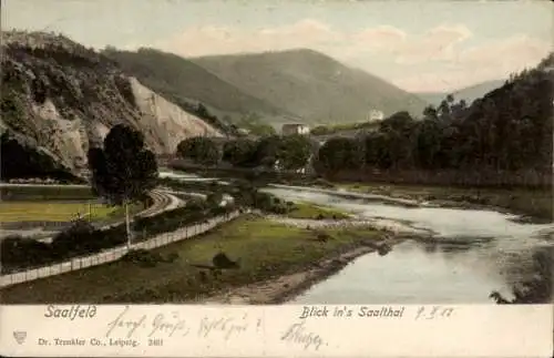 Ak Saalfeld an der Saale Thüringen, Blick ins Saalthal, Fluss, Berge, Bäume