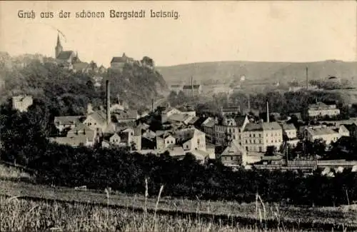 Ak Leisnig in Sachsen, Schöne Stadtansicht, Gebäude, Kirchturm, Industrie, Landschaft