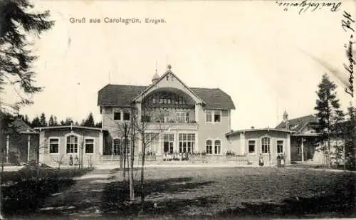Ak Carolagrün Auerbach im Vogtland, Hotel