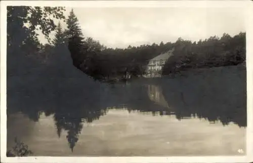 Ak Eilenburg an der Mulde, Ferienheim Eisenhammer, Dübener Heide, Wasserreflexionen, Bäume