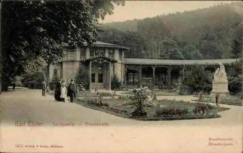 Ak Bad Elster im Vogtland, Salzquelle, Promenade